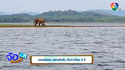 วอนเร่งช่วย พลายซันซัน ติดเกาะเกือบ 2 ปี