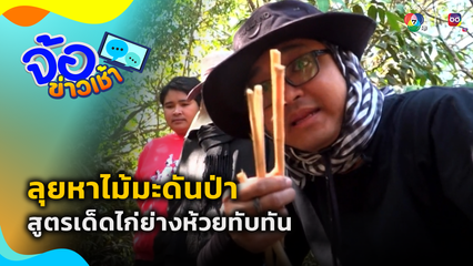ลุยหาไม้มะดันป่า สูตรเด็ดไก่ย่างห้วยทับทัน