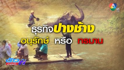 Exclusive ! สวัสดิภาพช้างกับการจัดการภัยพิบัติ