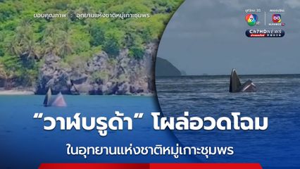 “วาฬบรูด้า” 3 ตัว โผล่โชว์ ในอุทยานแห่งชาติหมู่เกาะชุมพร