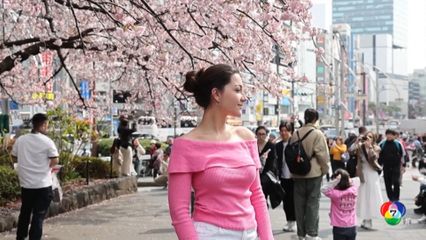 นักท่องเที่ยวเฮ ปีนี้ดอกซากุระบานเร็วในญี่ปุ่น