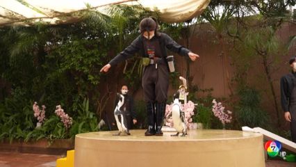 พิพิธภัณฑ์สัตว์น้ำในโตเกียว แปลงโฉมเป็นสวนดอกซากุระบาน