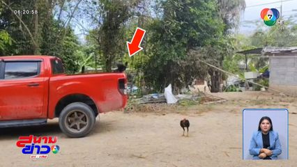 เลขต้องมา เจอไก่จ้ำจี้