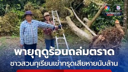 ชาวสวนทุเรียนเข่าทรุดเสียหายนับล้านบาท หลังพายุฤดูร้อนพัดถล่ม จ.ตราด