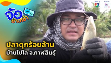 ปลาดุกร้อยล้าน บ้านโปโล จ.กาฬสินธุ์