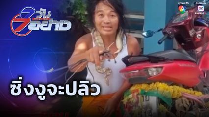 7 วัน 7 อย่าง : ซิ่งงูจะปลิว