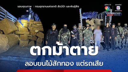 รถเสียระหว่างลอบขนไม้สักทอง ชุดลาดตระเวนดับไฟป่าเจอพอดี รวบทันควันส่งดำเนินคดี
