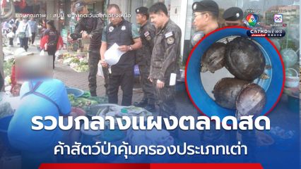 บุกรวบกลางแผงตลาดสด จ.อุดรธานี พบผู้ค้าสัตว์ป่าคุ้มครองประเภทเต่า 