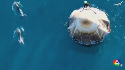 โลมาว่ายวนเวียนรอบแคปซูล SpaceX หลังบรรทุกนักบินอวกาศ 2 คน กลับสู่โลก