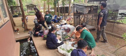 ของกลางเป็นลูกนกวัยอ่อน ศูนย์ช่วยเหลือสัตว์ป่าฯ ขอรับบริจาคอาหารลูกนก