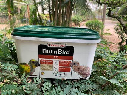 ของกลางเป็นลูกนกวัยอ่อน ศูนย์ช่วยเหลือสัตว์ป่าฯ ขอรับบริจาคอาหารลูกนก