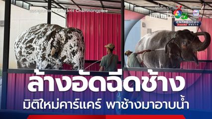 ล้างอัดฉีดช้าง ? มิติใหม่คาร์แคร์ ควาญพาช้างมาอาบน้ำ ชาวเน็ตสุดเอ็นดู
