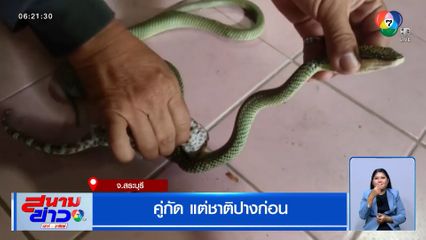 งูเขียว vs ตุ๊กแก คู่กัดแต่ชาติปางก่อน