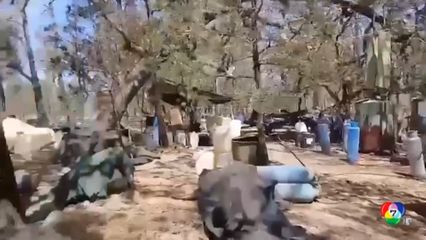 กองทัพเรือเม็กซิโกทลายฐานผลิตยาเสพติดกลางป่า