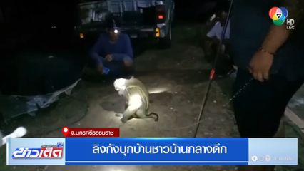 ลิงกังบุกบ้านชาวบ้านกลางดึก