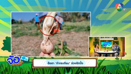 ฮือฮา "หำกระเทียม" ช่วยฟิตปั๋ง