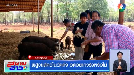 พิสูจน์สัตว์ในวัดดัง อดอยากจริงหรือไม่