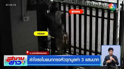 ล่าโจรขโมยนกกรงหัวจุก มูลค่า 3 แสนบาท