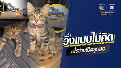 สาววิ่งแบบไม่คิด เพื่อช่วยชีวิตลูกแมวกำพร้า