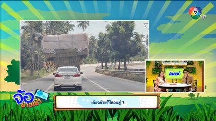 เอียงซ้ายก็ไหวอยู่ ?