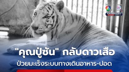 “คุณปู่ซัน” กลับดาวเสือ สาเหตุมาจากมะเร็งระบบทางเดินอาหาร-ปอด
