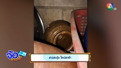 สาวสะดุ้ง ไหปลาร้า