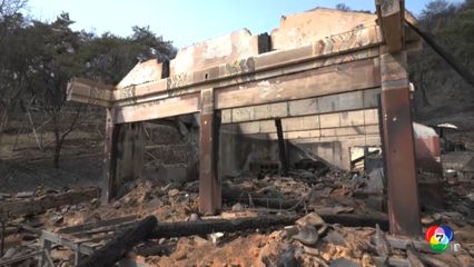 ไฟป่าเกาหลีใต้ยังคงลุกลามหนัก ยอดผู้เสียชีวิตพุ่ง