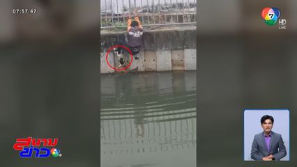 ชื่นชมหนุ่มช่วยชีวิต แมว ตกคลอง