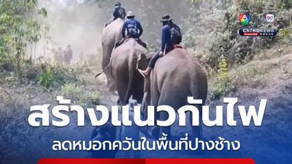 กู้ภัยช้างร่วมสร้างแนวกันไฟ ลดปัญหาหมอกควันในพื้นที่ปางช้าง