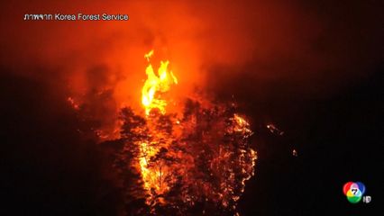 เกาหลีใต้เผชิญไฟป่าเลวร้ายที่สุดในประวัติศาสตร์