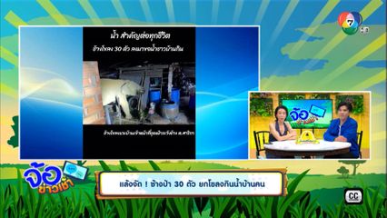 แล้งจัด! ช้างป่า 30 ตัว ยกโขลงกินน้ำบ้านคน