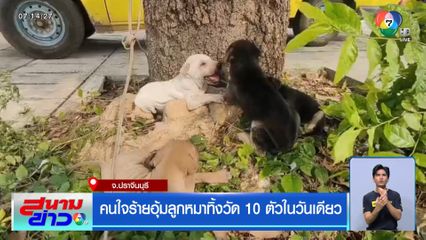 คนใจร้ายอุ้มลูกหมาทิ้งวัด 10 ตัวในวันเดียว จ.ปราจีนบุรี