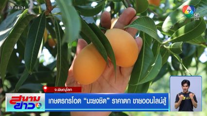 เกษตรกรโอด มะยงชิด ราคาตก ขายออนไลน์สู้