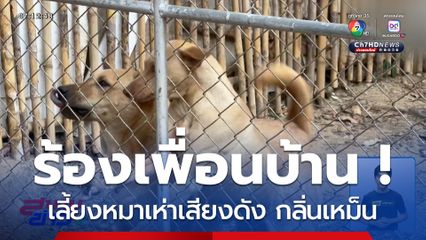 ร้องเพื่อนบ้านเลี้ยงหมาเห่าเสียงดัง ทำเครียดจนป่วยซึมเศร้า