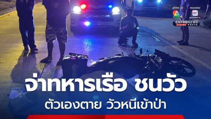 จ่าทหารเรือ ขี่ จยย.กลับบ้าน เคราะห์ร้าย เจอวัววิ่งตัดหน้า เบรกไม่ทันพุ่งชนจนตัวเองเสียชีวิต ส่วนวัวหลบหนีวิ่งเข้าป่า