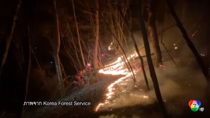 สถานการณ์ไฟป่าในเกาหลีใต้เริ่มดีขึ้น