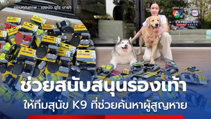 เพจเชอบัว ยูโร มายา ช่วยสนับสนุนรองเท้า สุนัข K9 ที่ช่วยค้นหาผู้สูญหายที่ติดอยู่ใต้ซากตึก 