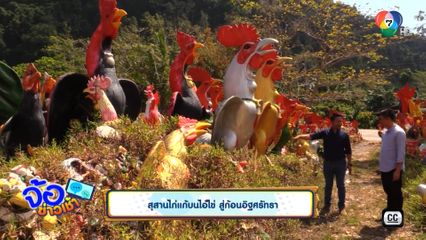 สุสานไก่แก้บนไอ้ไข่ สู่ก้อนอิฐศรัทธา