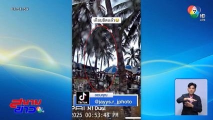 ลมพัดต้นมะพร้าวโค่นหวิดทับคน