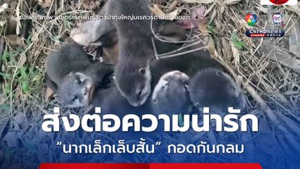 ส่งต่อความน่ารัก “นากเล็กเล็บสั้น” กอดกันกลม