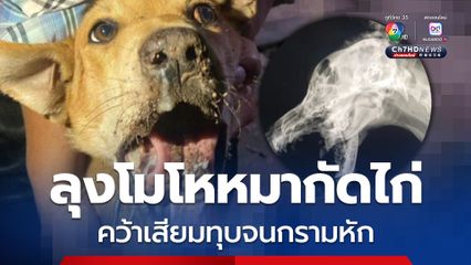 ลุงข้างบ้านโมโห! หมากัดไก่ คว้าเสียมทุบจนกรามหัก ปากห้อยรุ่งริ่ง สุดเวทนา