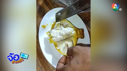 หมึกยัดเผือก หลอกขายผู้บริโภค