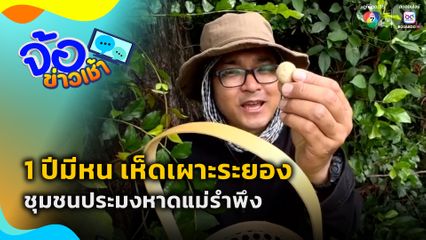 1 ปีมีหน เห็ดเผาะระยอง