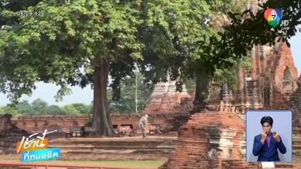 ปิดวัดไชยฯ ตีรังผึ้งต่อยนักท่องเที่ยว