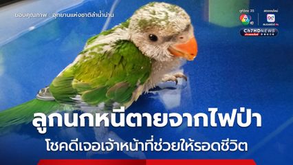  “ลูกนกแขกเต้า” หนีจากไฟป่า โชคดีเจ้าหน้าที่มาช่วยสำเร็จ รอดตายจากไฟป่า