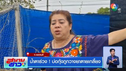 น้ำตาร่วง! บ่อกุ้งถูกวางยาตายเกลี้ยง