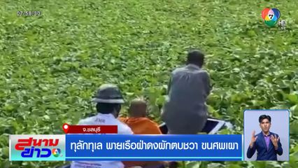 ทุลักทุเล พายเรือฝ่าดงผักตบชวา ขนศพเผา