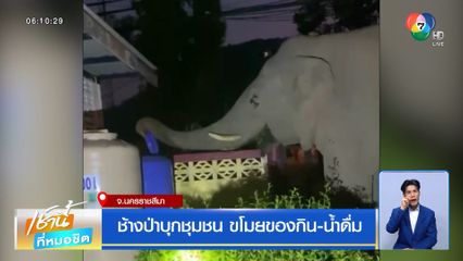 ช้างป่าบุกชุมชน ขโมยของกิน-น้ำดื่ม