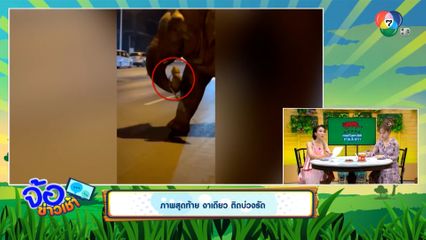 ภาพสุดท้าย งาเดียว ติดบ่วงรัด