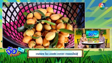 เกษตรกร โอด มะยงชิด ราคาตก ขายออนไลน์สู้